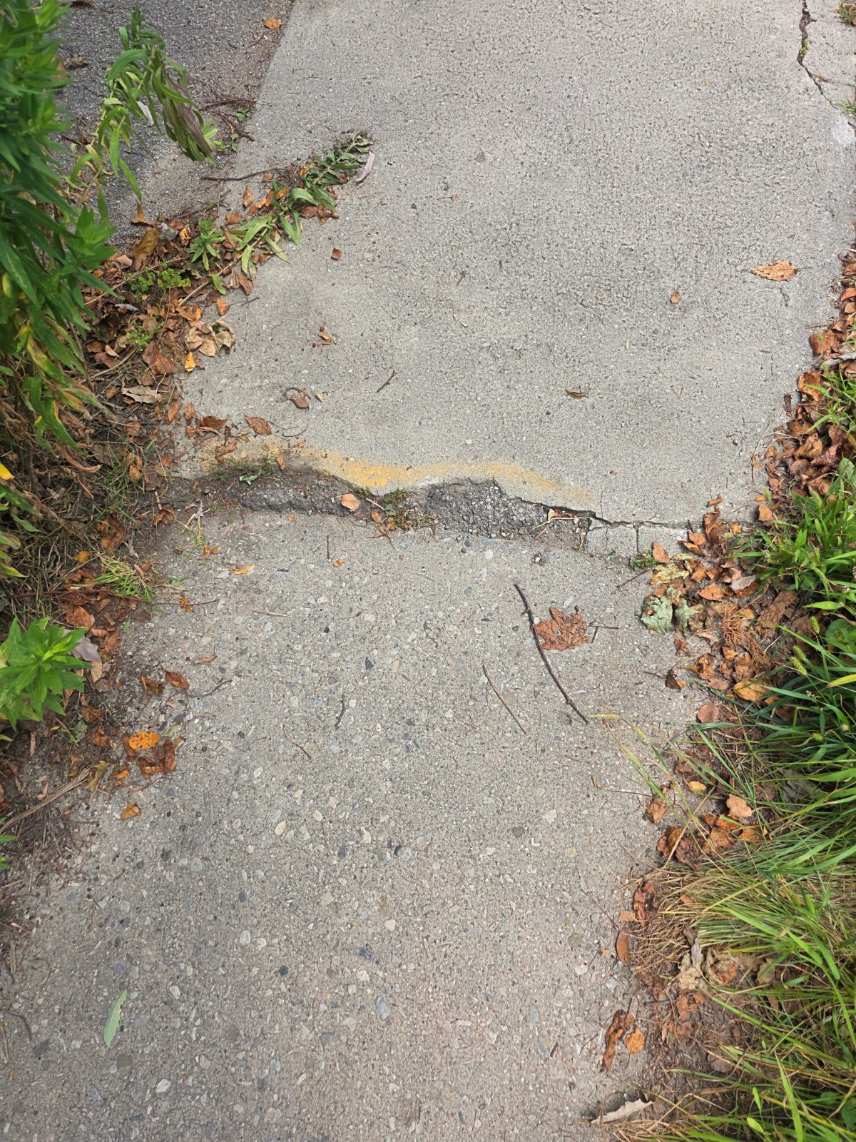 Sidewalk damage reported on Neeve Street.