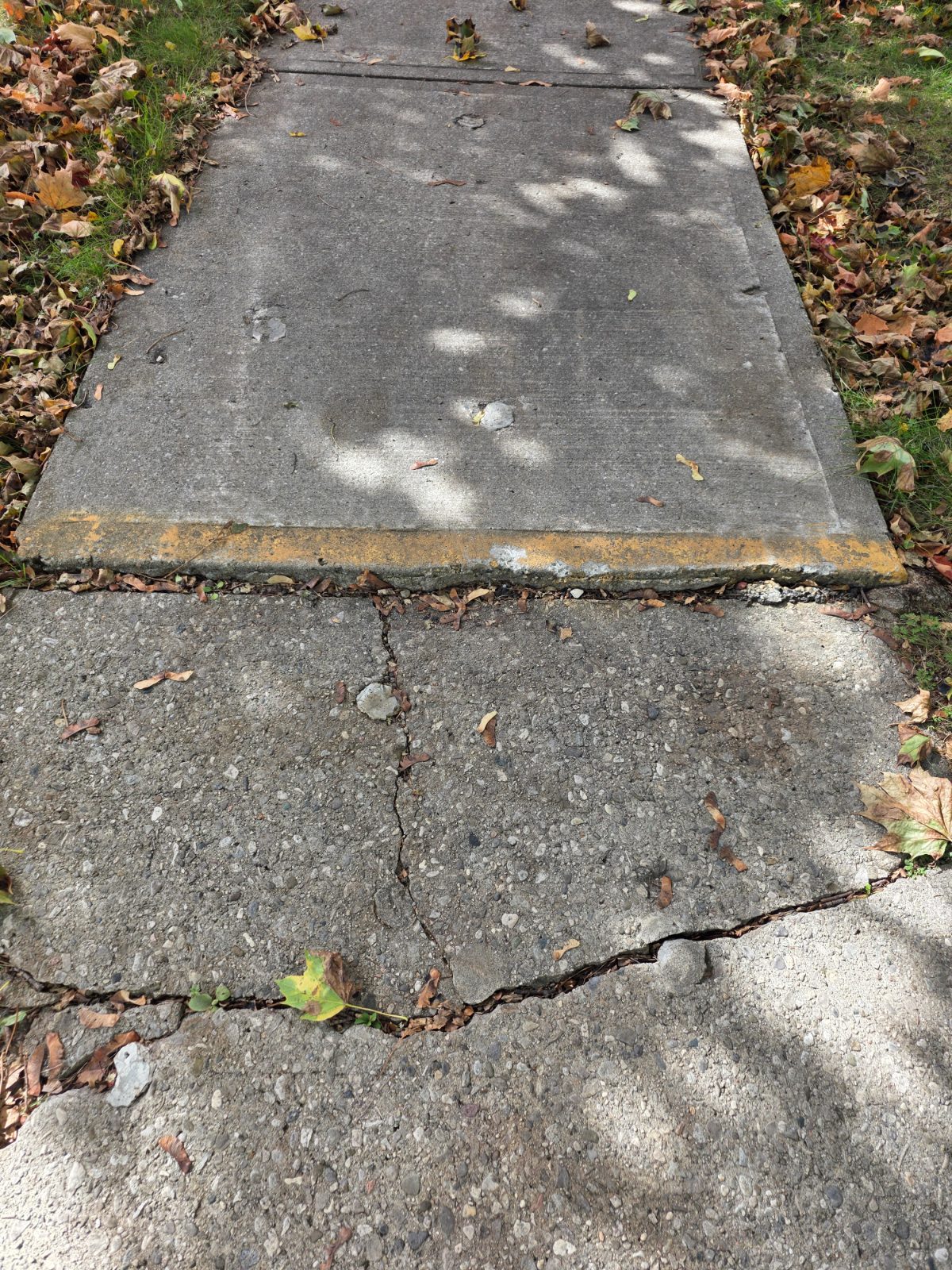 Sidewalk damage reported on Argyle Drive.