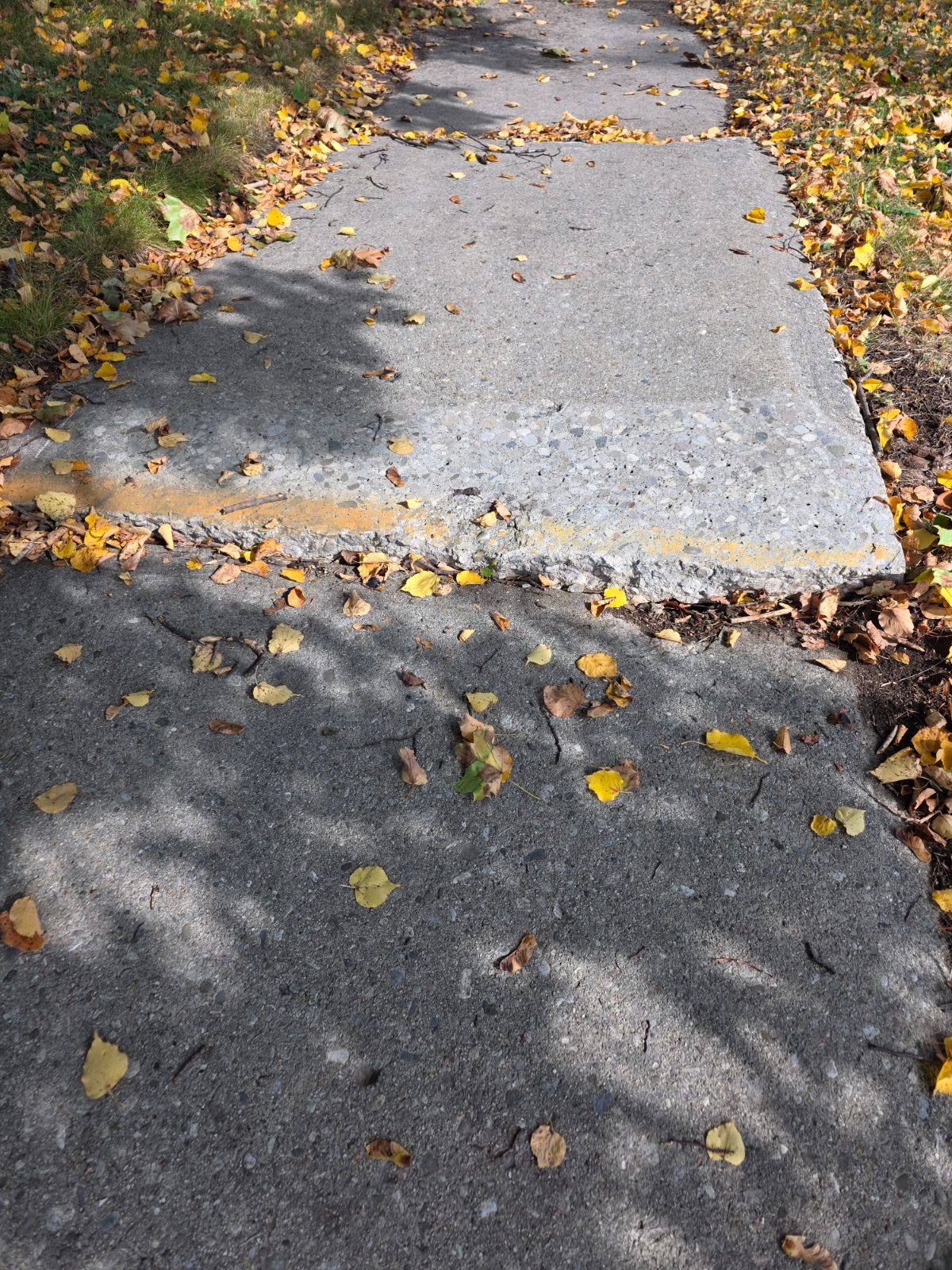 Sidewalk damage reported on College Avenue West.